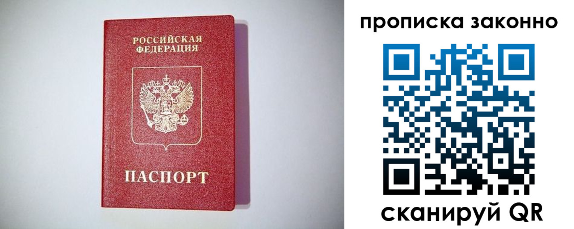 прописка законно в Апатитах